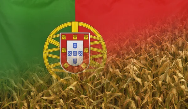 葡萄牙营养概念玉米田与织物标志 — 图库照片