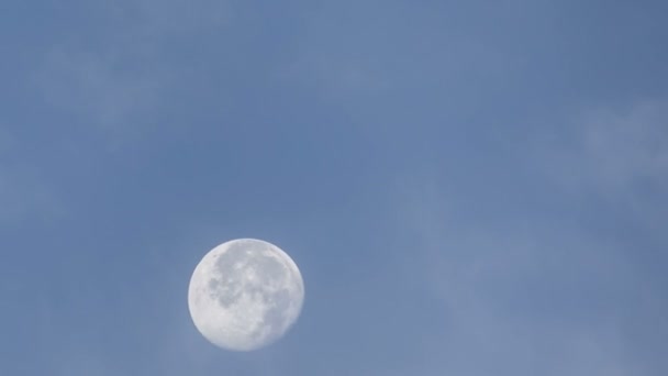 Mond in der Dämmerung — Stockvideo