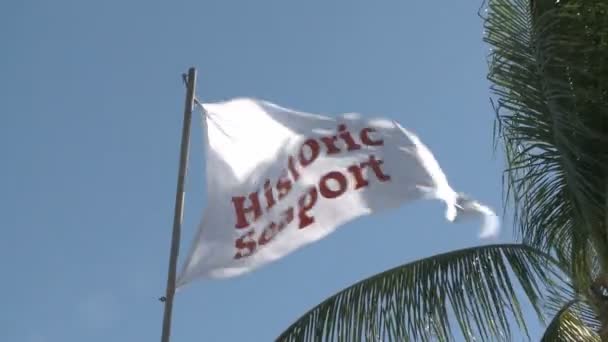 Bandera histórica del puerto marítimo — Vídeos de Stock