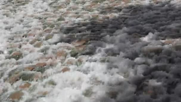 河里的石头 — 图库视频影像