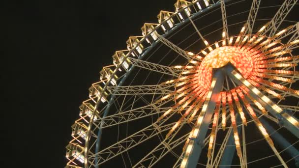 Big Ferry Wheel at Night — Stock Video