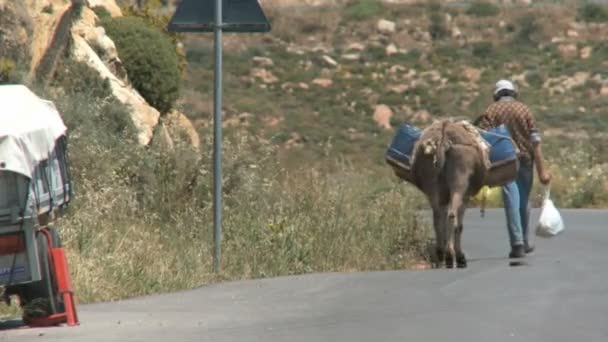 Donkey transport — Stock Video