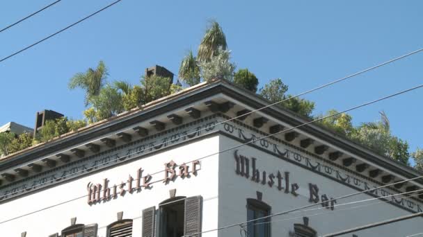 Whistle Bar Key West — Stock Video