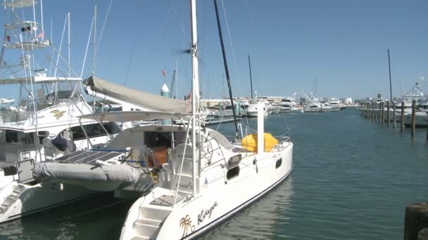 Key West Harbor — Stockvideo