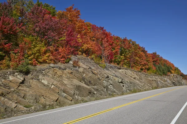 Highway with maple leaves — Stock Photo, Image