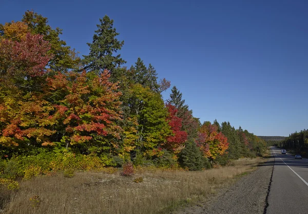 Autoroute avec feuilles d'érable — Photo