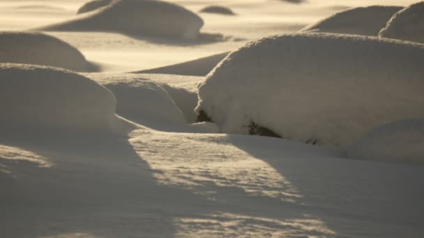 Fechar ondas de solavancos de neve — Vídeo de Stock
