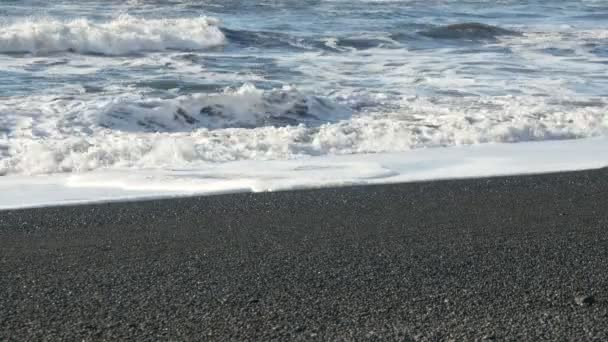 Vagues se brisant à la plage de sable noir — Video