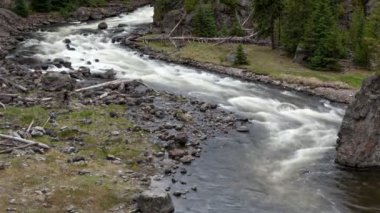 Güzel doğa nehirde