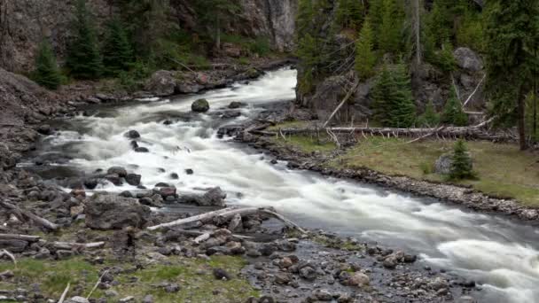 Río en la hermosa naturaleza — Vídeo de stock