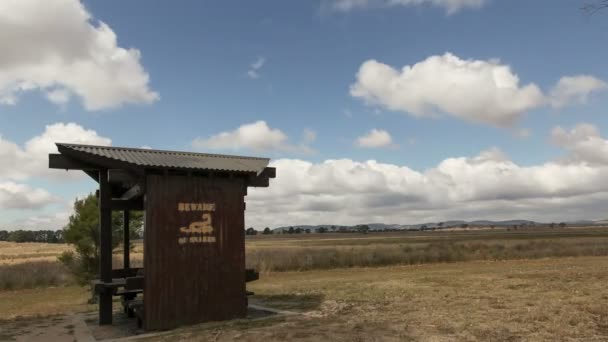 Tiempo lpasa Serpiente Advertencia — Vídeo de stock