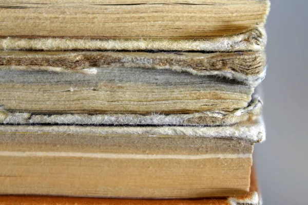 Bir yığın eski kitap kapanıyor.