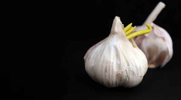 Siyah arka planda sarımsak başları