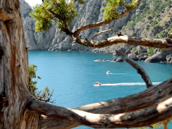Arka planda dağlar olan iki deniz yatı