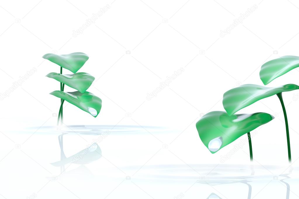 Drop and plants on white background