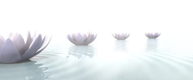 Zen lotus flowers draw a path on the water clipart