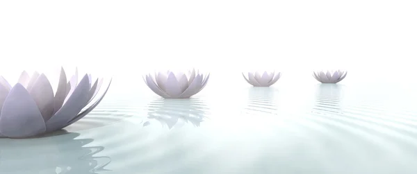 Zen lotus flowers draw a path on the water — Stock Photo, Image