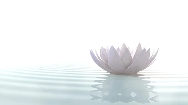 Zen lotus su üzerinde — Stok fotoğraf