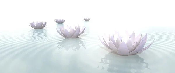 Zen Flowers on water in widescreen — Stock Photo, Image