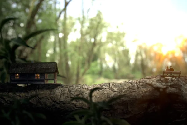 Bir orman içinde ahşap bir evde yaşayan