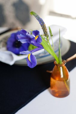 Tablo ayarı ile mavi anemon