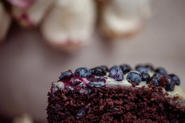ブルーベリーとチョコレートのケーキ ストック画像
