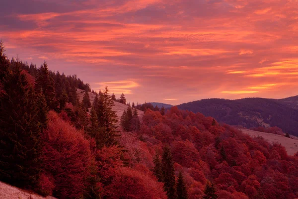 Céu pintado em cores brilhantes — Fotografia de Stock