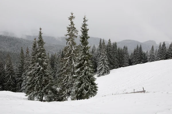 Paisagem de inverno nas montanhas dos Cárpatos — Fotografia de Stock