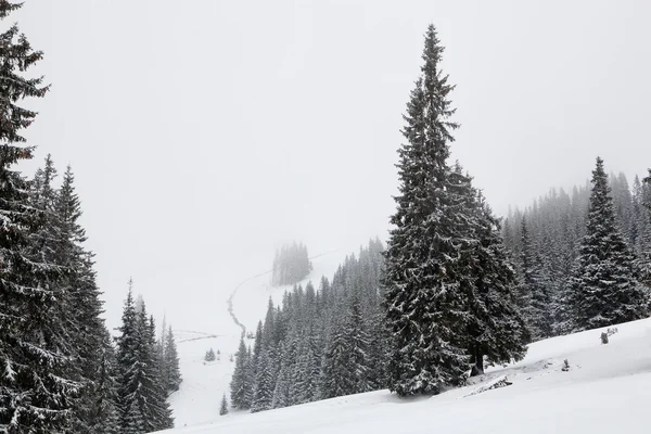 Karpat Dağları 'ndaki kış manzarası — Stok fotoğraf