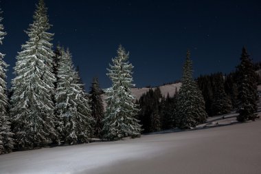 Gece kış manzara Karpatlar