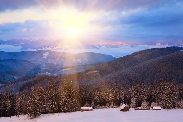 Nascer do sol no inverno Cárpatos — Fotografia de Stock