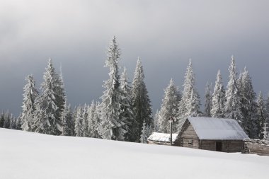 Kışın alpine mera üzerinde ev çoban