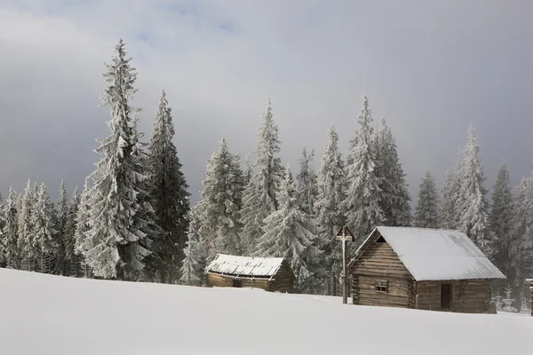 Pastores de casa no pasto alpino no inverno — Fotografia de Stock