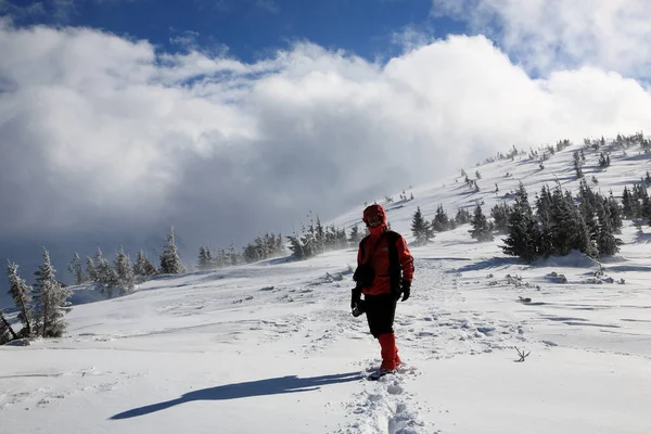 Escursionista Sulle Pendici Delle Montagne Inverno Carpazi Orientali — Foto Stock