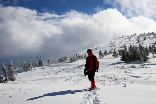 Senderista Las Laderas Las Montañas Invierno Cárpatos Orientales — Foto de Stock