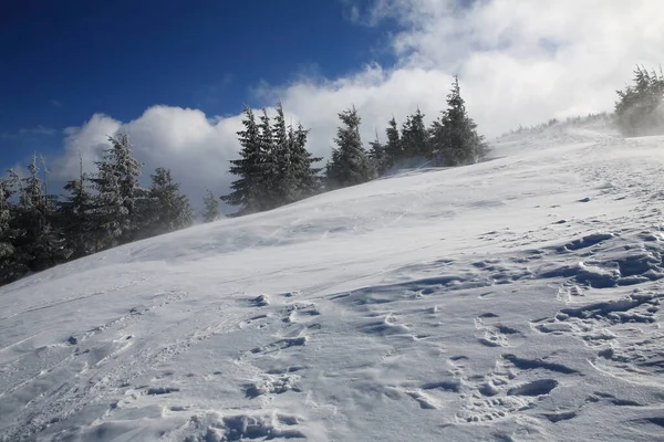 Berghänge Mit Schnee Bedeckt Östliche Karpaten — Stockfoto