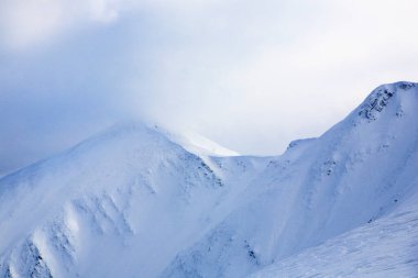 Tourists climb the mountain in winter. Eastern Carpathians.