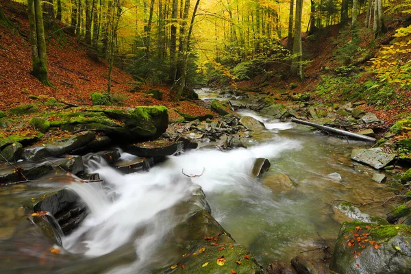 Sonbahar kayın ormanında şelale. Doğu Karpatlar.
