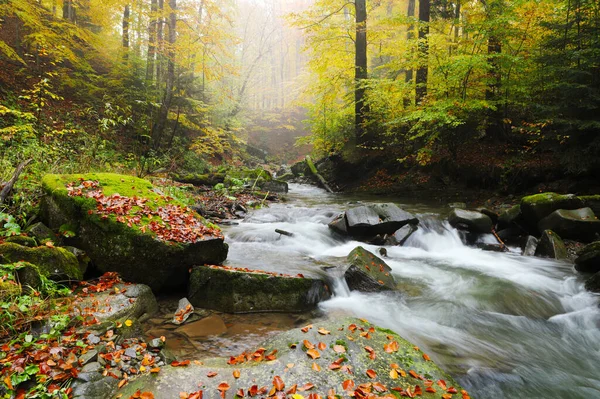 Waterfall Autumn Beech Forest Eastern Carpathians — Stock Photo, Image