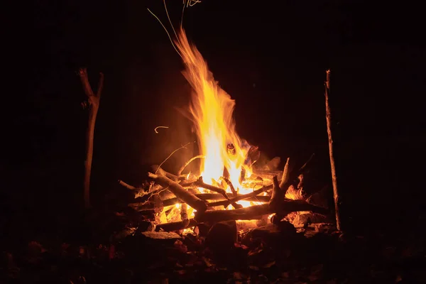 Bonfire Près Tente Dans Les Bois Nuit — Photo