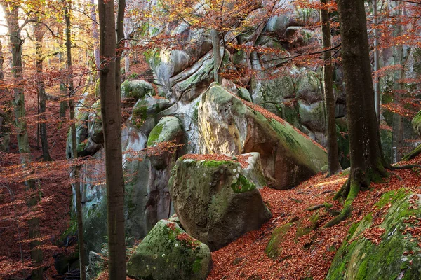 Φθινοπωρινό Δάσος Οξιάς Ανάμεσα Στα Βράχια Ανατολικά Καρπάθια — Φωτογραφία Αρχείου