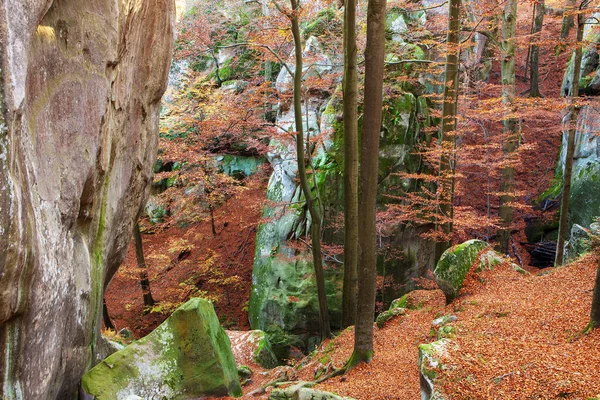 Φθινοπωρινό Δάσος Οξιάς Ανάμεσα Στα Βράχια Ανατολικά Καρπάθια — Φωτογραφία Αρχείου