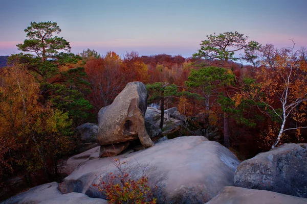 Pinos Las Rocas Sobre Bosque Hayas Otoño Cárpatos Orientales —  Fotos de Stock