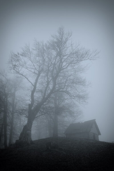 Old rural house