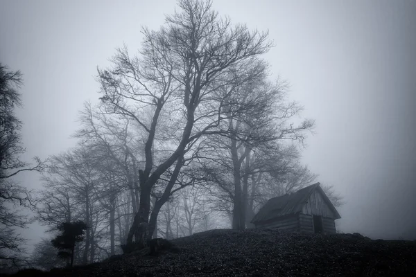 Old rural house — Stock Photo, Image