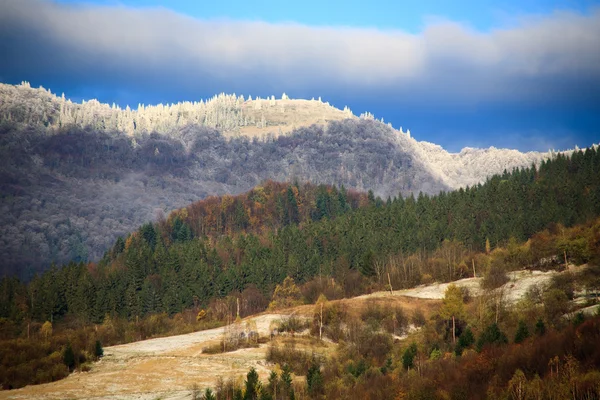 Na podzim Karpaty — Stock fotografie