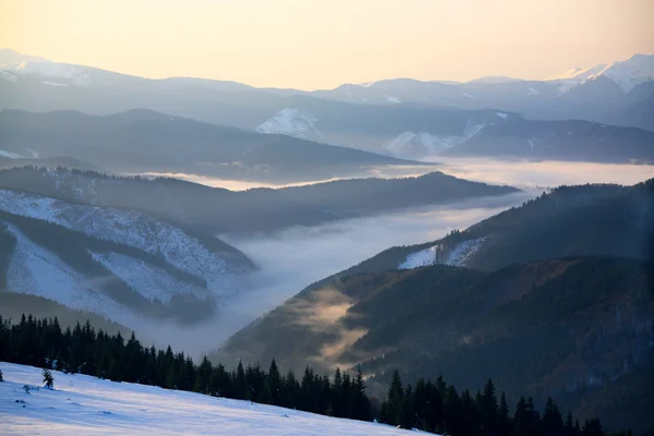 霧、明るい朝の太陽は山の谷から上昇します。 — ストック写真