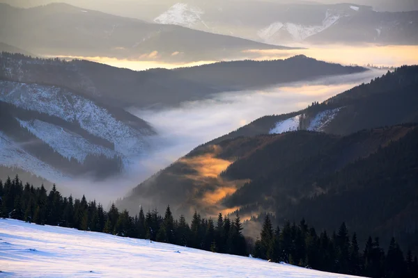 Туман, світиться ранкове сонце сходить з гірських долин Ліцензійні Стокові Зображення