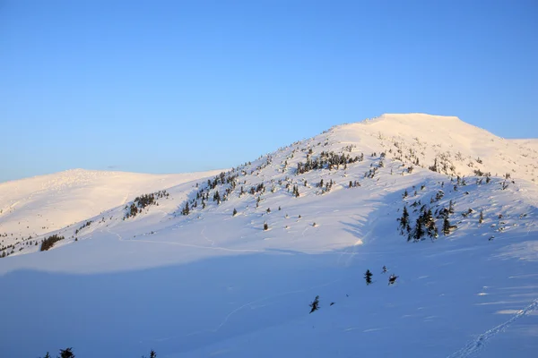 Beautiful Carpathian mountains — Stock Photo, Image