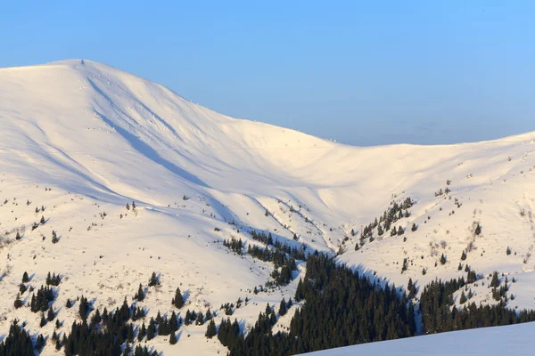 Beautiful Carpathian mountains — Stock Photo, Image